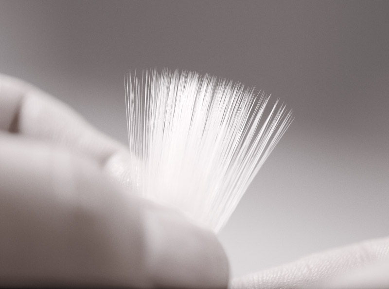 Brush Image 1