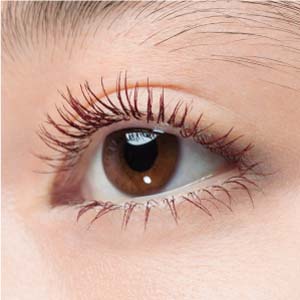 BURGUNDY EYE THUMB 1